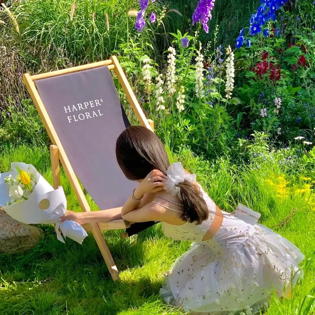 野探哈莉第三季