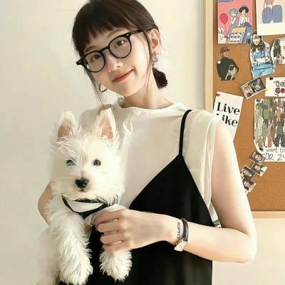 带轮子的家第四季